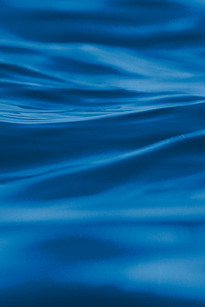 WBG Homepage